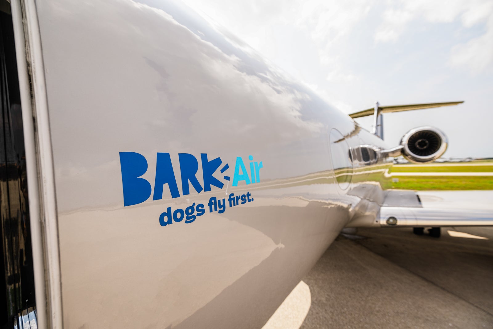 20240507 Bark Air dog airline Bark Air 5