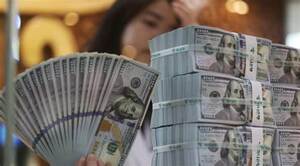 Foreign Exchange Reserves Decline for Second Consecutive Month in May