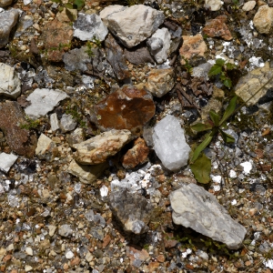 Concord Monitor – Rockhounds rejoice: Ruggles Mine in NH to reopen