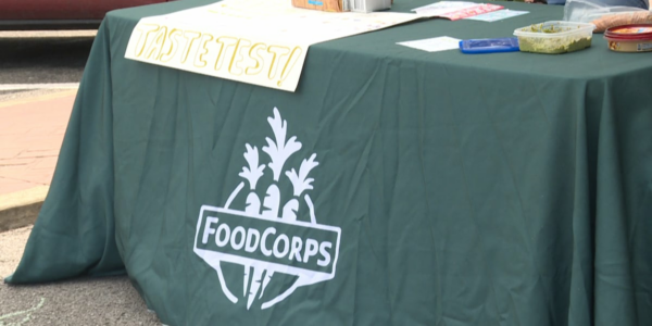 Farmers Market introducing kids to food