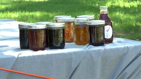 Farmer’s Market Season open and blooming