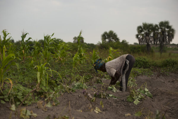 Oil spills in Banga Kayo: “From the beginning … we denounced the proximity of