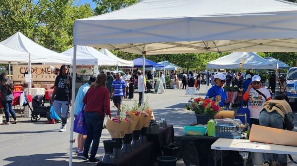 $500,000 in funding presented to the Meadowview Farmers’ Market