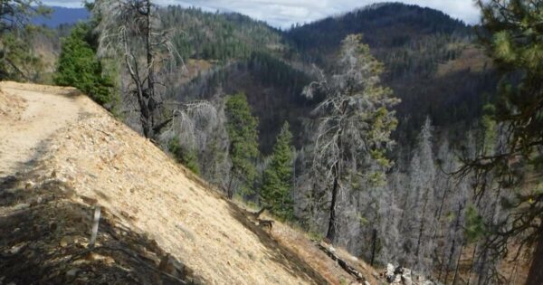 Boise National Forest opens public comment on mining site