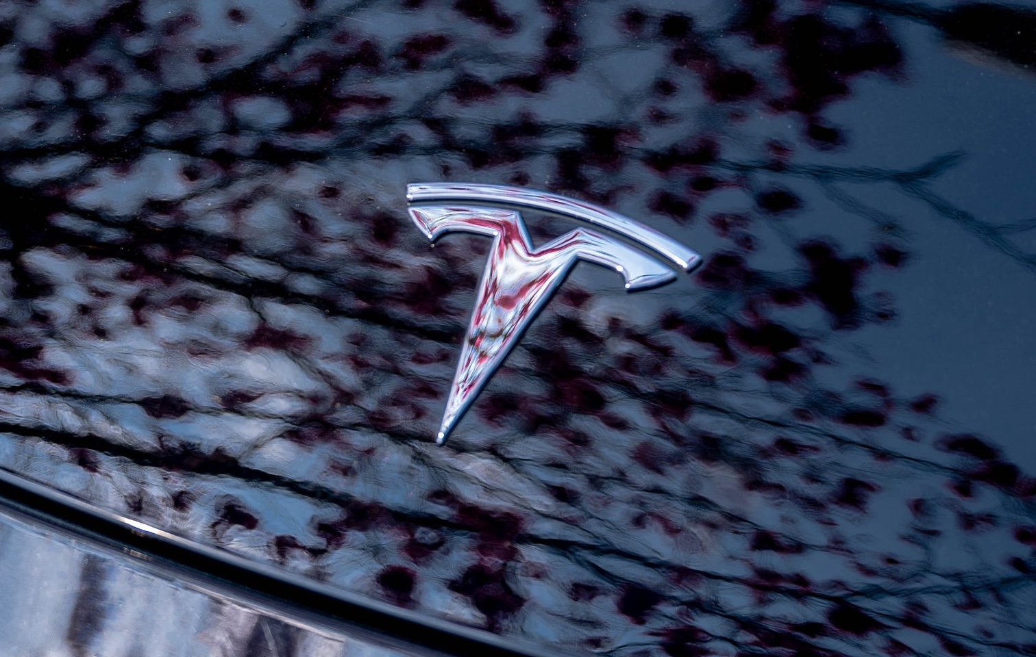 tesla logo model y