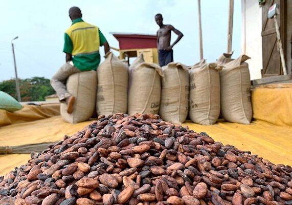 Ghana’s cocoa production output hit 429,323 metric tons at the end of June –