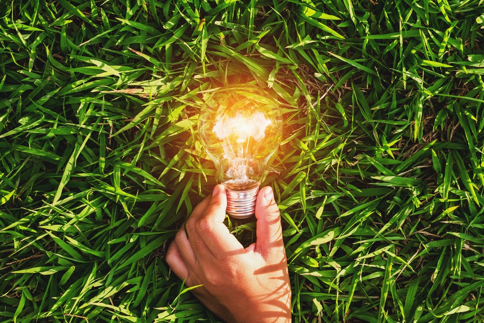 Energy Lightbulb Shutterstock