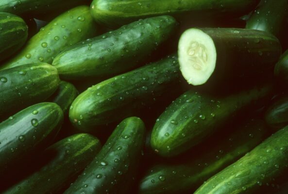 Bagged and whole cucumbers sold at Walmart