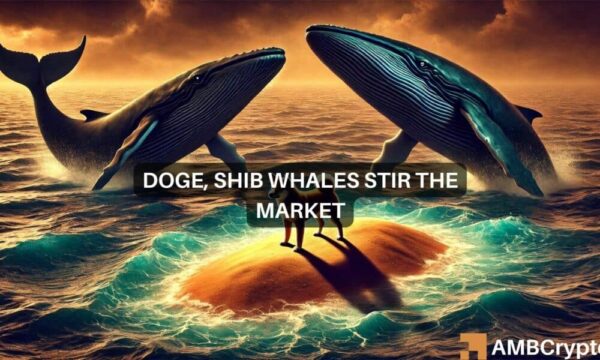 Dogecoin, Shiba Inu markets see volatility – Are whales the reason?