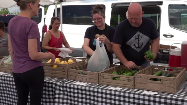 Farmers market returns to the Back Mountain