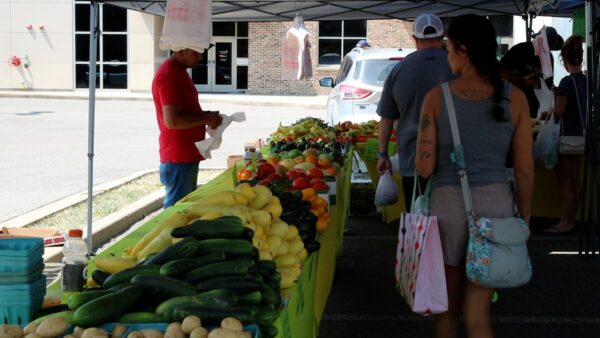 Bridgeport farmers market season reaches halfway point