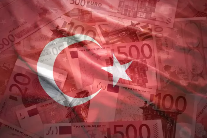 Türkiye: Tight Monetary Policy Drives Disinflation, Eases External Liquidity